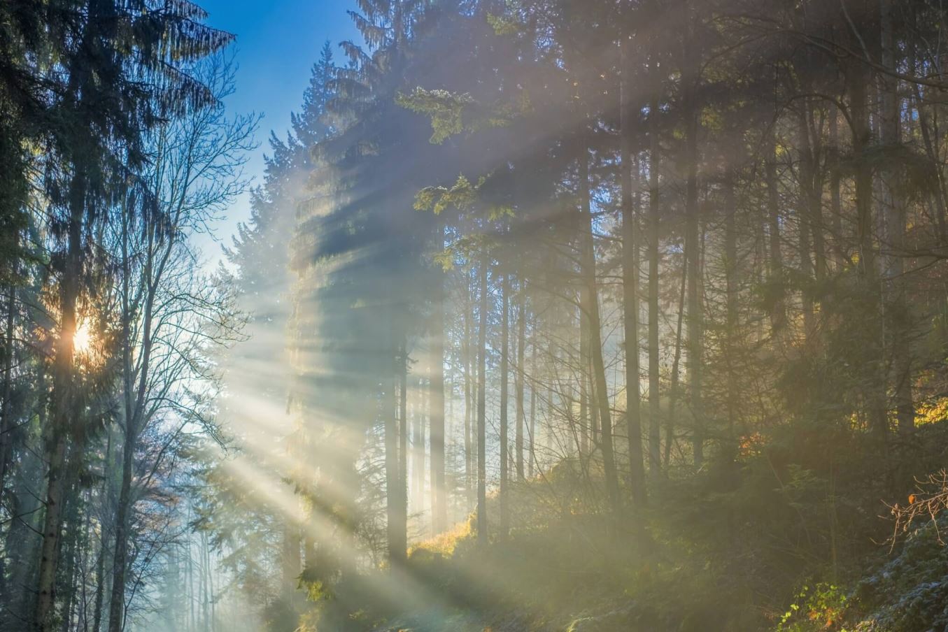 Fog drifting over a quiet campus